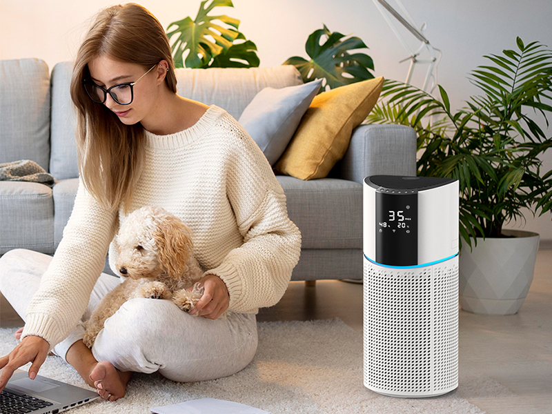 Une vie saine rendue facile avec les purificateurs d'air, les humidificateurs et les hydropulseurs Joytech