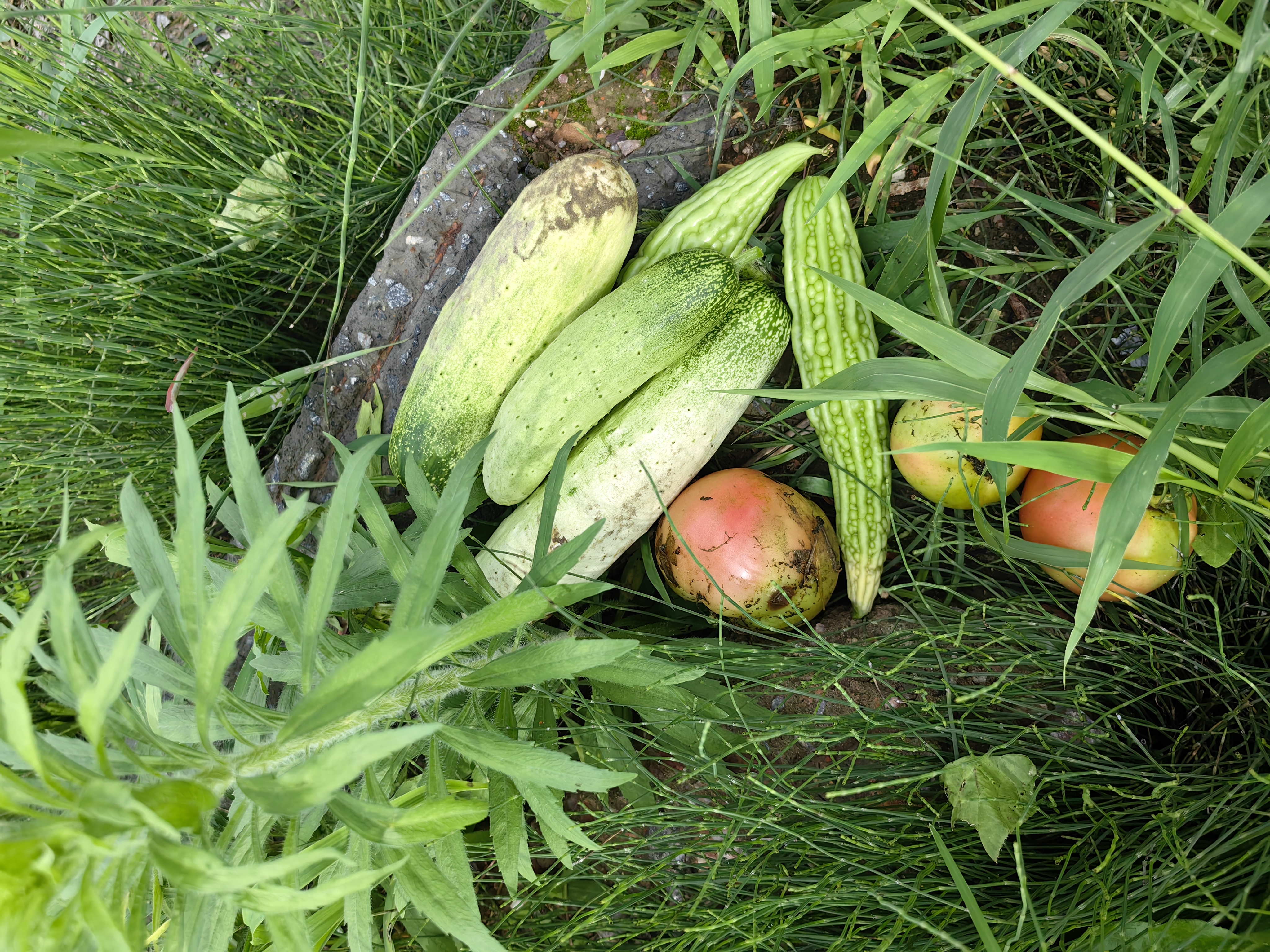 Panangmonitor iti Salun-at Bayat ti Dakkel a Panawen ti Pudot